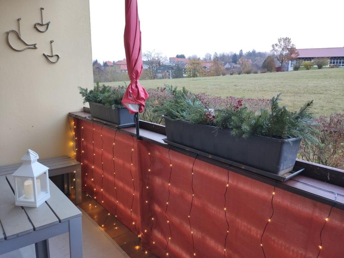 Ferienwohnung Harzluchs Mit Balkon, Netflix Und Sauna Im Haus Hohegeiß エクステリア 写真