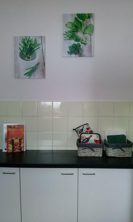 Ferienwohnung Harzluchs Mit Balkon, Netflix Und Sauna Im Haus Hohegeiß 部屋 写真