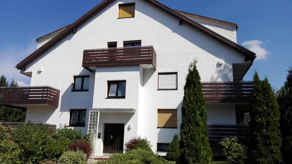 Ferienwohnung Harzluchs Mit Balkon, Netflix Und Sauna Im Haus Hohegeiß 部屋 写真