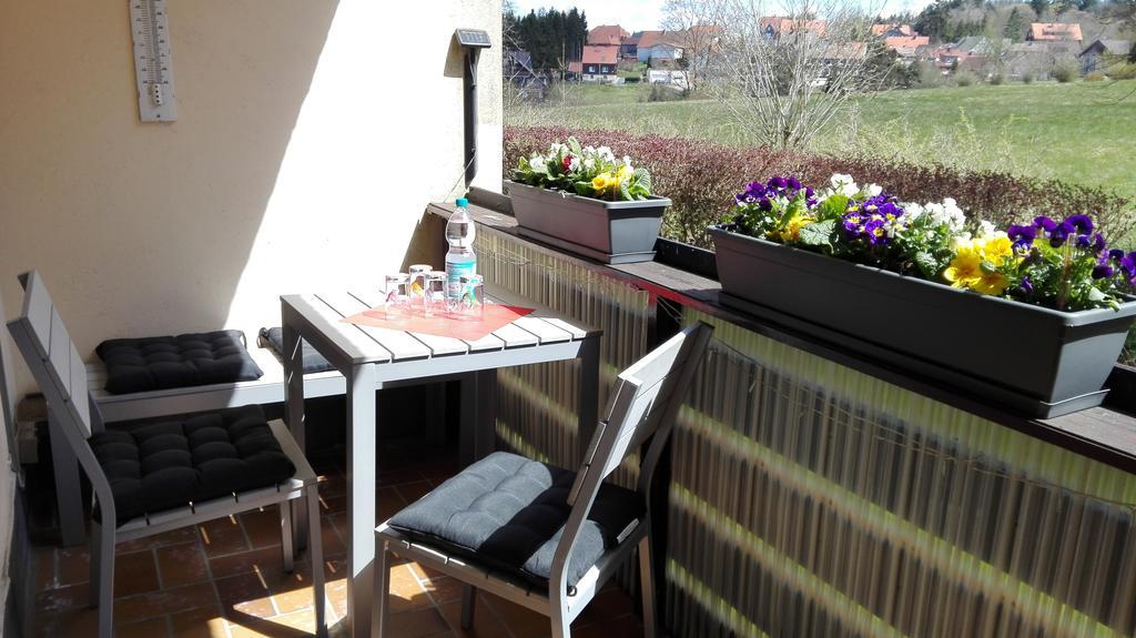 Ferienwohnung Harzluchs Mit Balkon, Netflix Und Sauna Im Haus Hohegeiß エクステリア 写真